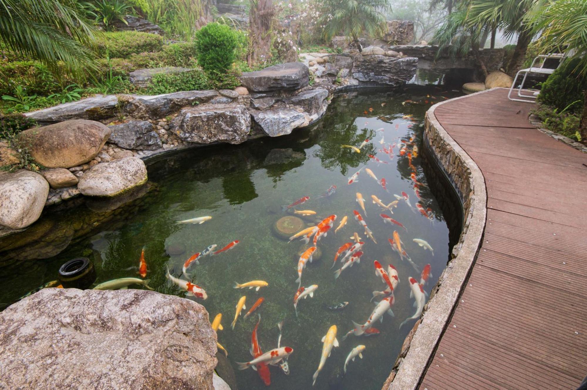 Sapa Catcat Hills Resort & Spa Buitenkant foto
